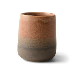 Tandborstmugg