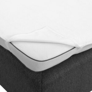 Plastad frotte