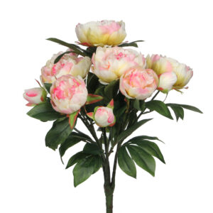 Bukett peony
