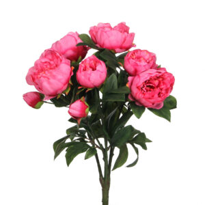 Bukett peony
