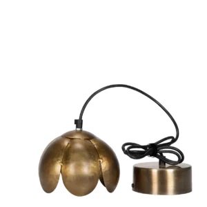 Lampa flora