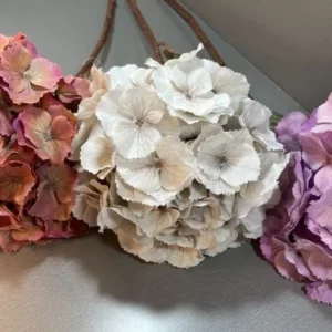 Hortensia