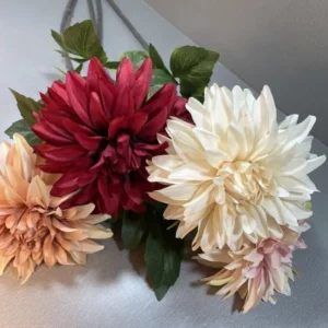 Dahlia